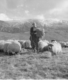 Farming and Rural Life